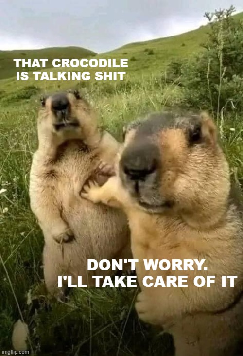 THAT CROCODILE IS TALKING SHIT; DON'T WORRY. I'LL TAKE CARE OF IT | image tagged in funny,funny animals | made w/ Imgflip meme maker