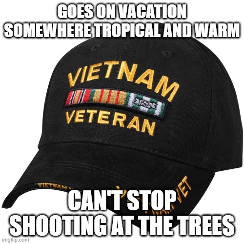 The Trees | GOES ON VACATION SOMEWHERE TROPICAL AND WARM; CAN'T STOP SHOOTING AT THE TREES | image tagged in vietnam vet hat | made w/ Imgflip meme maker