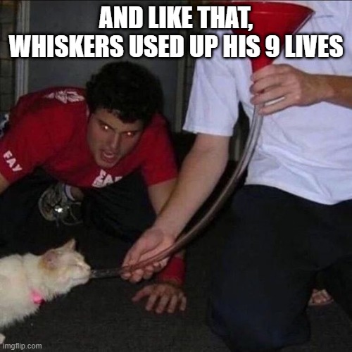 Cat Funnel | AND LIKE THAT, WHISKERS USED UP HIS 9 LIVES | image tagged in cats | made w/ Imgflip meme maker