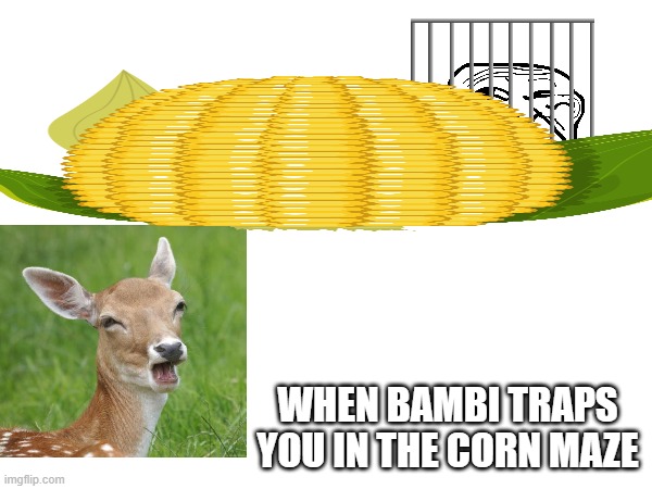he went to the wrong corn maze? | WHEN BAMBI TRAPS YOU IN THE CORN MAZE | image tagged in he,went,to,the,corn,maze | made w/ Imgflip meme maker