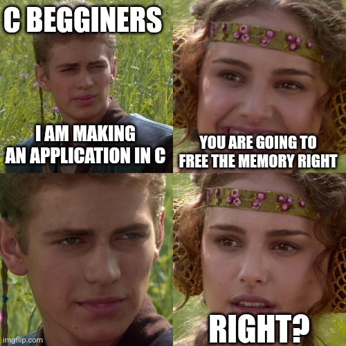 Anakin Padme 4 Panel | C BEGGINERS; I AM MAKING AN APPLICATION IN C; YOU ARE GOING TO FREE THE MEMORY RIGHT; RIGHT? | image tagged in anakin padme 4 panel | made w/ Imgflip meme maker