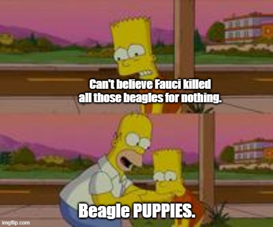 What Fauci really killed in those useless experiments. | Can't believe Fauci killed all those beagles for nothing. Beagle PUPPIES. | image tagged in bart simpson,fauci,puppies | made w/ Imgflip meme maker