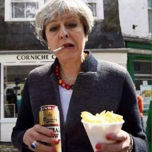 Theresa May be an arsehole | image tagged in theresa may be an arsehole | made w/ Imgflip meme maker