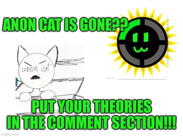 Idk | ANON CAT IS GONE?? PUT YOUR THEORIES IN THE COMMENT SECTION!!! | image tagged in anon cat,the bossfights theorist | made w/ Imgflip meme maker