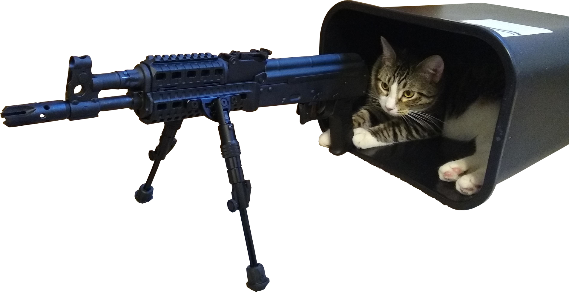 Defense Cat Blank Meme Template