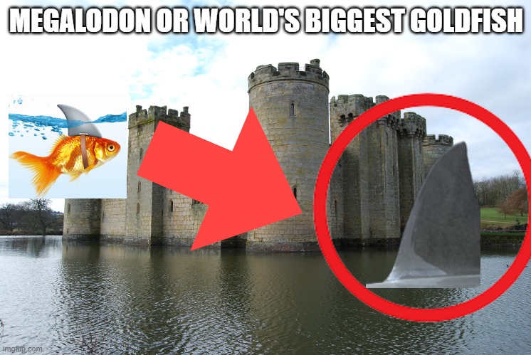its a mystery | MEGALODON OR WORLD'S BIGGEST GOLDFISH | image tagged in castle,its,a,mystery | made w/ Imgflip meme maker
