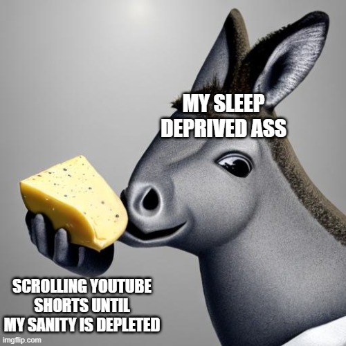 Why do shorts exist? | MY SLEEP DEPRIVED ASS; SCROLLING YOUTUBE SHORTS UNTIL MY SANITY IS DEPLETED | image tagged in donkey cheese,youtube shorts,cheese,sleep deprivation creations,i don't need sleep i need answers,oh god i have done it again | made w/ Imgflip meme maker