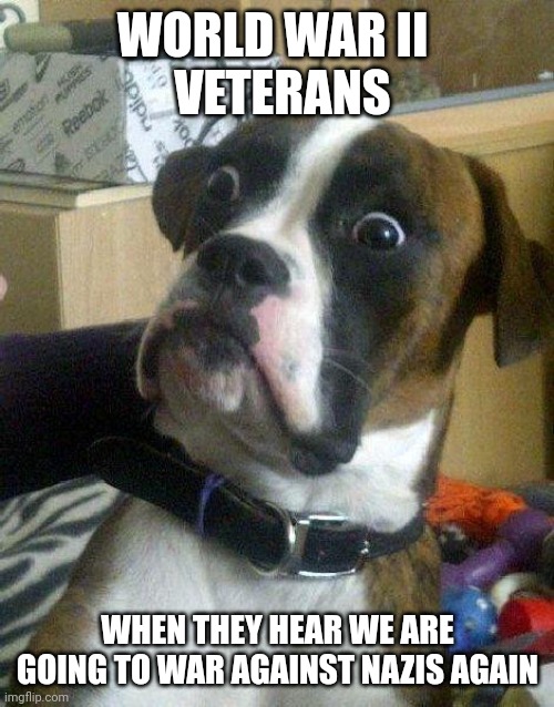 Surprised Dog | WORLD WAR II 
 VETERANS WHEN THEY HEAR WE ARE GOING TO WAR AGAINST NAZIS AGAIN | image tagged in surprised dog | made w/ Imgflip meme maker