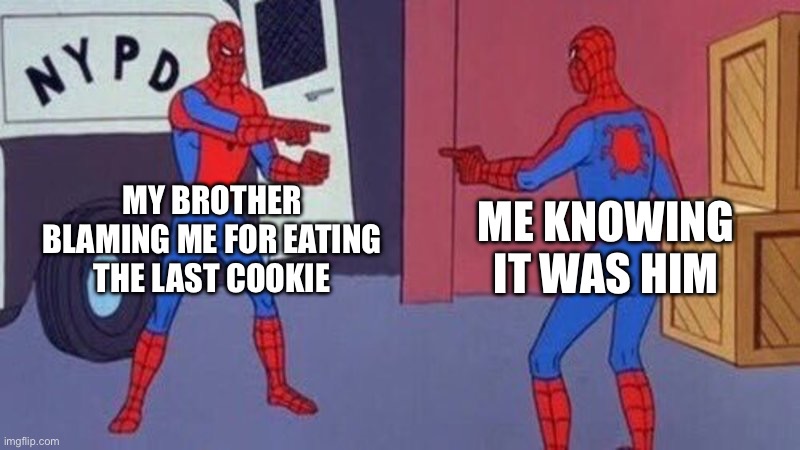 Siblings | MY BROTHER BLAMING ME FOR EATING THE LAST COOKIE; ME KNOWING IT WAS HIM | image tagged in spiderman pointing at spiderman | made w/ Imgflip meme maker