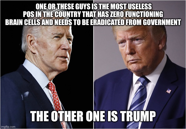 Biden / Trump | ONE OR THESE GUYS IS THE MOST USELESS POS IN THE COUNTRY THAT HAS ZERO FUNCTIONING BRAIN CELLS AND NEEDS TO BE ERADICATED FROM GOVERNMENT; THE OTHER ONE IS TRUMP | image tagged in biden / trump | made w/ Imgflip meme maker