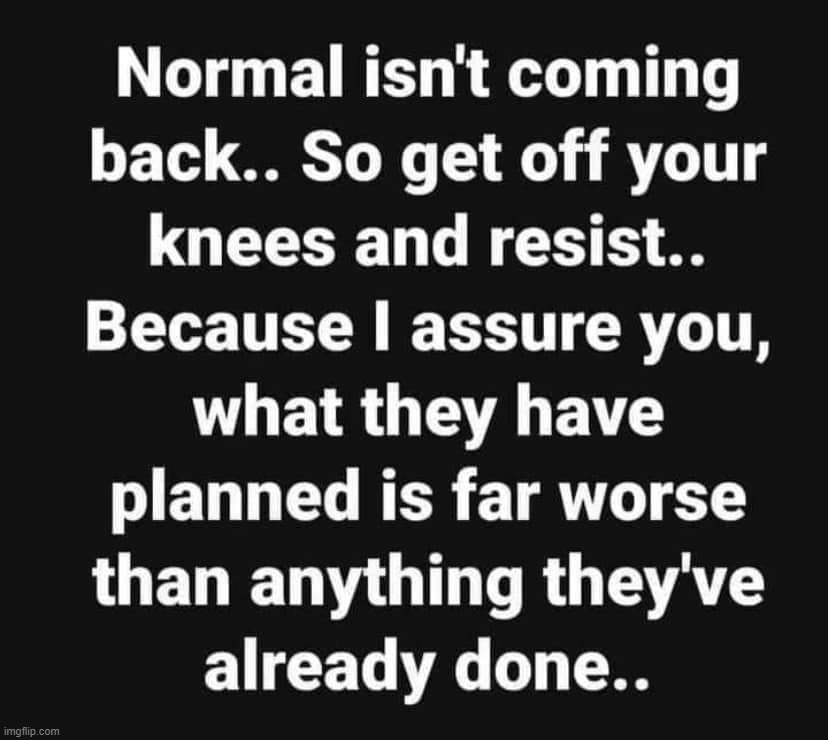 "Normal" isn't coming back... | image tagged in civil war,civil war 2,american revolution,american revolution 2,resistance,government corruption | made w/ Imgflip meme maker