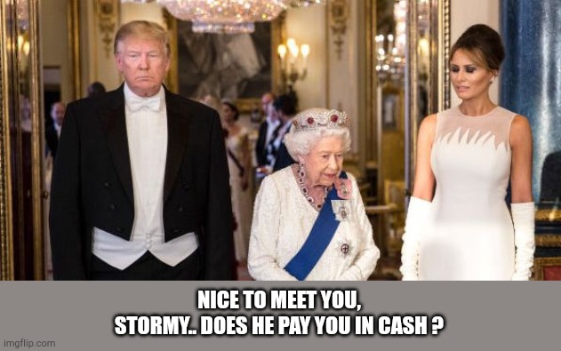 stormy | NICE TO MEET YOU,
STORMY.. DOES HE PAY YOU IN CASH ? | image tagged in queen stormy,queen | made w/ Imgflip meme maker