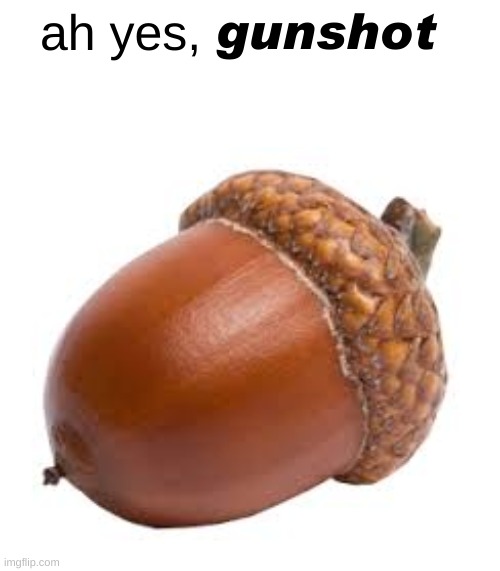 LMAO | gunshot; ah yes, | image tagged in acorn,cops,funny memes | made w/ Imgflip meme maker