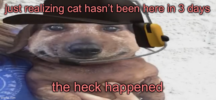 chucklenuts | just realizing cat hasn’t been here in 3 days; the heck happened | image tagged in chucklenuts | made w/ Imgflip meme maker