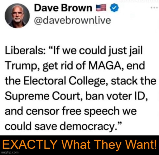 All while importing illegals to join their radical base | EXACTLY What They Want! | image tagged in liberals,democrats,radical,politics,idiocracy,america | made w/ Imgflip meme maker