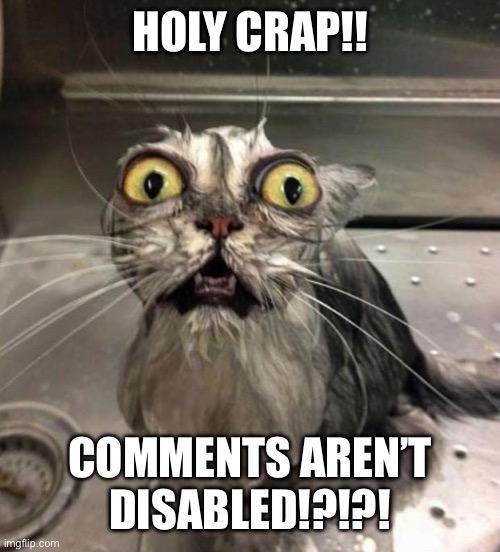 Astonished Wet Cat | HOLY CRAP!! COMMENTS AREN’T DISABLED!?!?! | image tagged in astonished wet cat | made w/ Imgflip meme maker