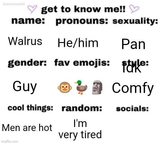 get to know me but better | Walrus; He/him; Pan; Idk; 🐵🦆🗿; Comfy; Guy; I'm very tired; Men are hot | image tagged in get to know me but better | made w/ Imgflip meme maker