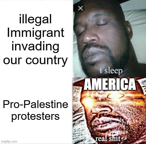 Sleeping Shaq | illegal Immigrant invading our country; AMERICA; Pro-Palestine protesters | image tagged in memes,sleeping shaq | made w/ Imgflip meme maker