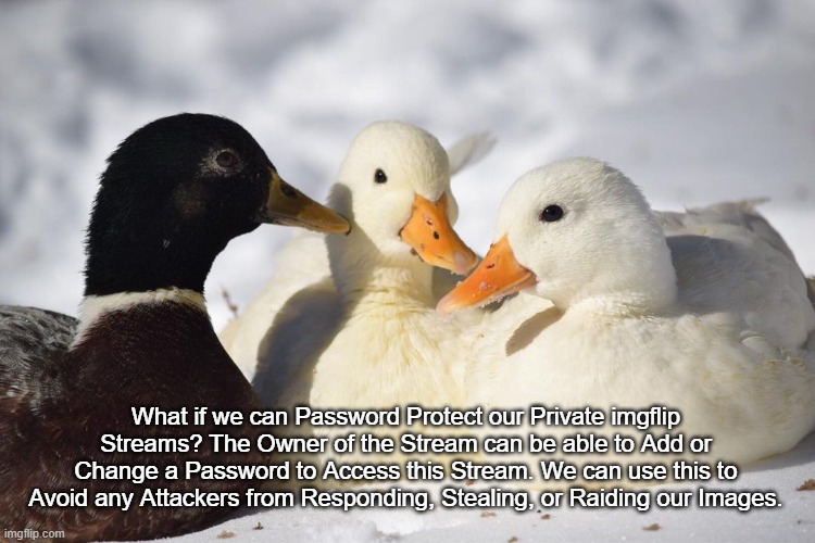 Dunkin Ducks | What if we can Password Protect our Private imgflip Streams? The Owner of the Stream can be able to Add or Change a Password to Access this Stream. We can use this to Avoid any Attackers from Responding, Stealing, or Raiding our Images. | image tagged in dunkin ducks | made w/ Imgflip meme maker