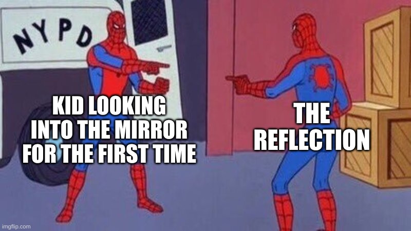 Person Sees Their Reflection For The First Time | KID LOOKING INTO THE MIRROR FOR THE FIRST TIME; THE REFLECTION | image tagged in spiderman pointing at spiderman | made w/ Imgflip meme maker