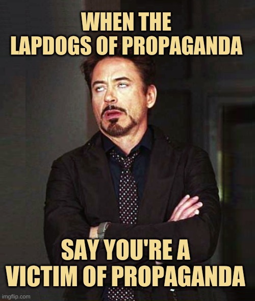 That Face You Make When Alt-2 | WHEN THE LAPDOGS OF PROPAGANDA; SAY YOU'RE A VICTIM OF PROPAGANDA | image tagged in that face you make when alt-2,that face you make when,propaganda,idiots,fools,haters | made w/ Imgflip meme maker