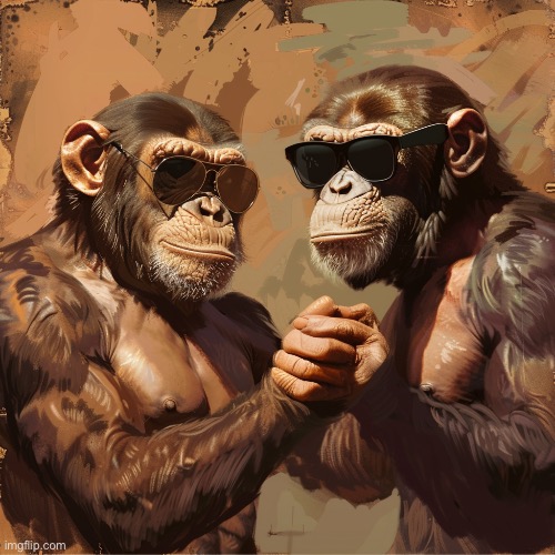 Two very muscular Monkeys shake hands | image tagged in two very muscular monkeys shake hands | made w/ Imgflip meme maker