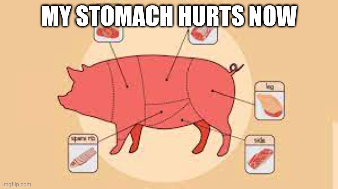 porky | MY STOMACH HURTS NOW | image tagged in porky | made w/ Imgflip meme maker