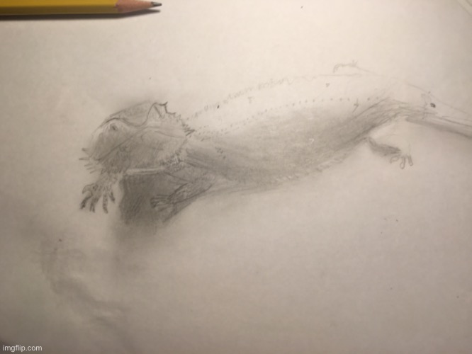 here’s the drawing so far | made w/ Imgflip meme maker