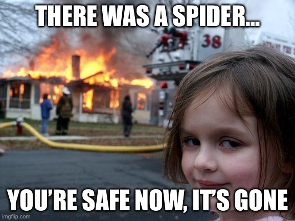 we all have that one friend who’s afraid of spiders… | THERE WAS A SPIDER…; YOU’RE SAFE NOW, IT’S GONE | image tagged in memes,disaster girl,spider,the moment you realize,arachnophobia,that one friend | made w/ Imgflip meme maker