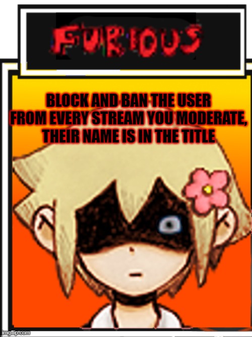 EINSFG | BLOCK AND BAN THE USER FROM EVERY STREAM YOU MODERATE, THEIR NAME IS IN THE TITLE | made w/ Imgflip meme maker