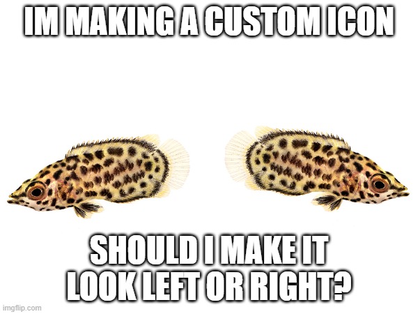 first comment wins | IM MAKING A CUSTOM ICON; SHOULD I MAKE IT LOOK LEFT OR RIGHT? | image tagged in want,help,making,icon,rotate,left or right | made w/ Imgflip meme maker