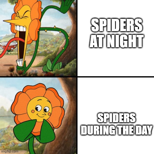 Just smile and wave | SPIDERS AT NIGHT; SPIDERS DURING THE DAY | image tagged in cagney carnation yelling,minecraft memes,minecraft,spiders | made w/ Imgflip meme maker