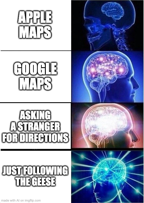 Getting directions | APPLE MAPS; GOOGLE MAPS; ASKING A STRANGER FOR DIRECTIONS; JUST FOLLOWING THE GEESE | image tagged in memes,expanding brain | made w/ Imgflip meme maker