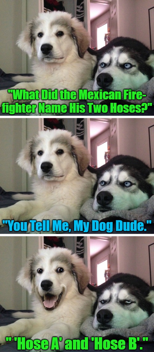 [Mexican Homette Told Me This One] | "What Did the Mexican Fire-

fighter Name His Two Hoses?"; "You Tell Me, My Dog Dude."; " 'Hose A' and 'Hose B'." | image tagged in bad pun dogs,firefighters,memes,mexicans,funny,say what | made w/ Imgflip meme maker