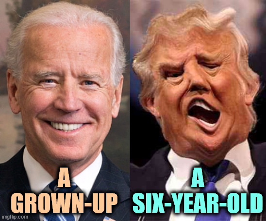 Just watch and listen. | A
GROWN-UP; A
SIX-YEAR-OLD | image tagged in biden solid stable trump acid drugs,biden,adult,trump,toddler,infant | made w/ Imgflip meme maker