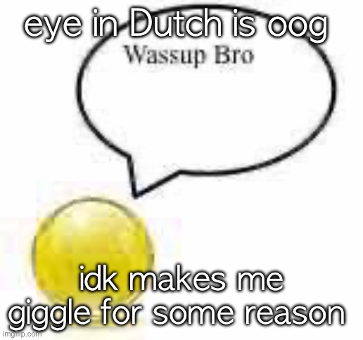 wassup bro ball | eye in Dutch is oog; idk makes me giggle for some reason | image tagged in wassup bro ball | made w/ Imgflip meme maker