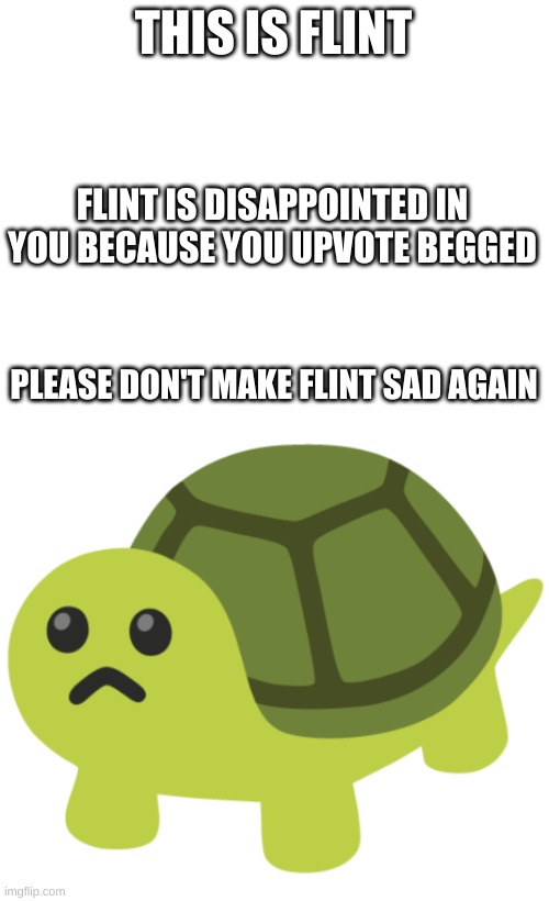 THIS IS FLINT FLINT IS DISAPPOINTED IN YOU BECAUSE YOU UPVOTE BEGGED PLEASE DON'T MAKE FLINT SAD AGAIN | made w/ Imgflip meme maker