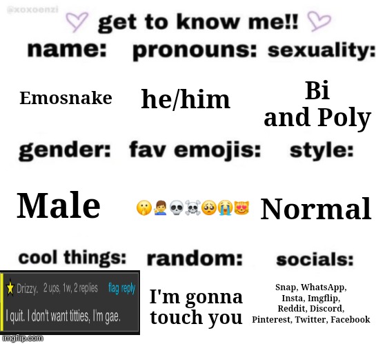 get to know me but better | he/him; Emosnake; Bi and Poly; 🤫🧏‍♂️💀☠️🥺😭😻; Normal; Male; Snap, WhatsApp, Insta, Imgflip, Reddit, Discord, Pinterest, Twitter, Facebook; I'm gonna touch you | image tagged in get to know me but better | made w/ Imgflip meme maker