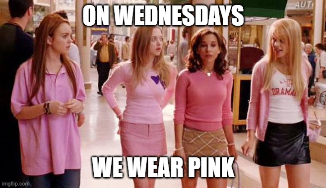 on wednesdays we wear pink | ON WEDNESDAYS; WE WEAR PINK | image tagged in on wednesdays we wear pink | made w/ Imgflip meme maker