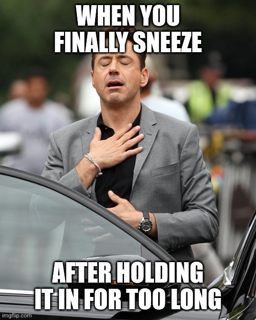 Biggest pain in our body. Now gone | WHEN YOU FINALLY SNEEZE; AFTER HOLDING IT IN FOR TOO LONG | image tagged in memes,robert downey jr,sneeze | made w/ Imgflip meme maker
