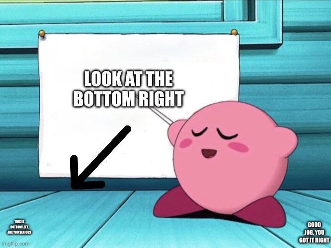 kirby sign | LOOK AT THE BOTTOM RIGHT; THIS IS BOTTOM LEFT, ARE YOU SERIOUS; GOOD JOB, YOU GOT IT RIGHT | image tagged in kirby sign | made w/ Imgflip meme maker