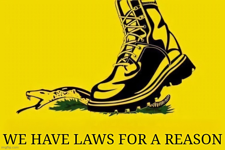 WE HAVE LAWS FOR A REASON | image tagged in gadsden flag | made w/ Imgflip meme maker