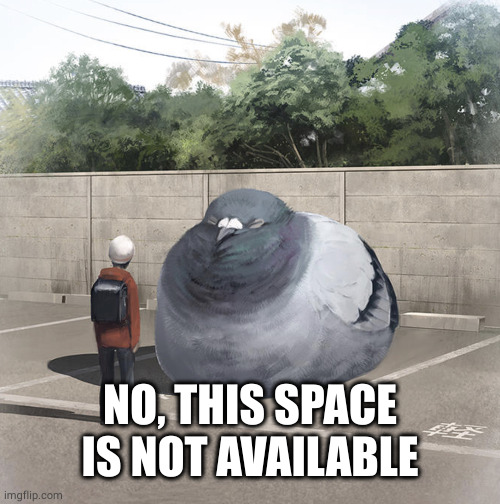 Beeg Birb | NO, THIS SPACE IS NOT AVAILABLE | image tagged in beeg birb | made w/ Imgflip meme maker