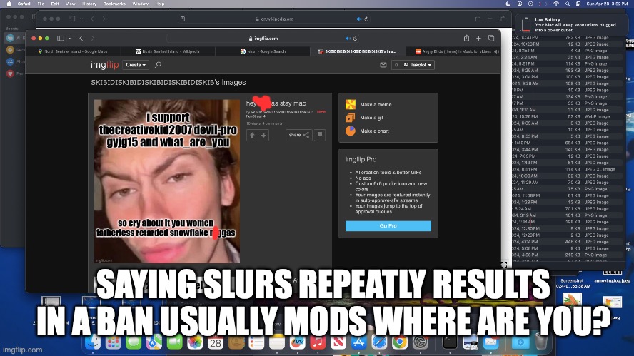SAYING SLURS REPEATLY RESULTS IN A BAN USUALLY MODS WHERE ARE YOU? | made w/ Imgflip meme maker