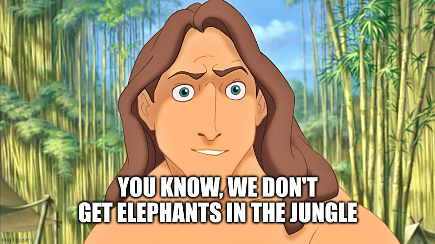 Tarzan | YOU KNOW, WE DON'T GET ELEPHANTS IN THE JUNGLE | image tagged in tarzan | made w/ Imgflip meme maker