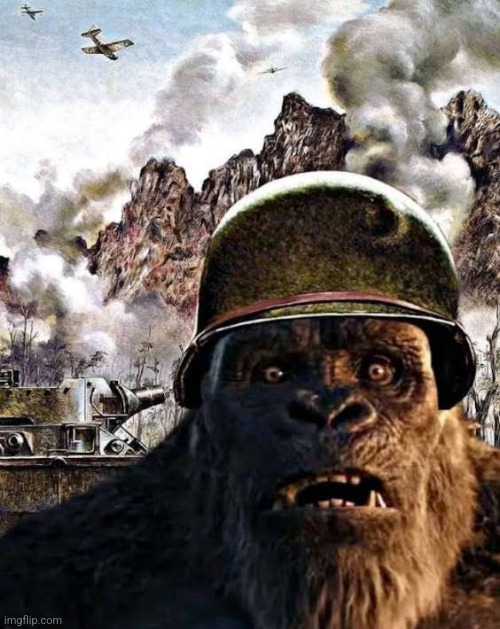 Kong Thousand Yard Stare | image tagged in kong thousand yard stare | made w/ Imgflip meme maker