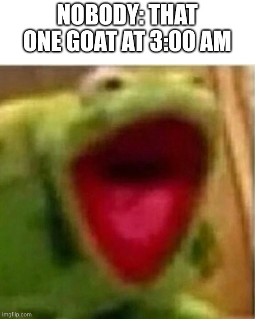Just... Don't live in the mountains | NOBODY: THAT ONE GOAT AT 3:00 AM | image tagged in ahhhhhhhhhhhhh,goats | made w/ Imgflip meme maker