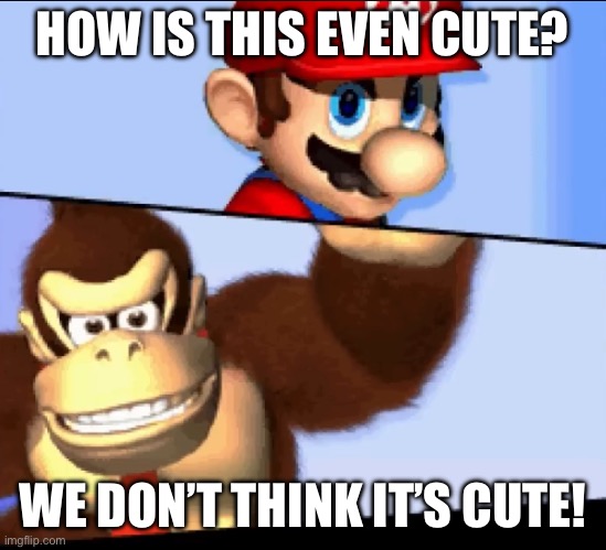 Not cute! | HOW IS THIS EVEN CUTE? WE DON’T THINK IT’S CUTE! | image tagged in mario and donkey kong | made w/ Imgflip meme maker