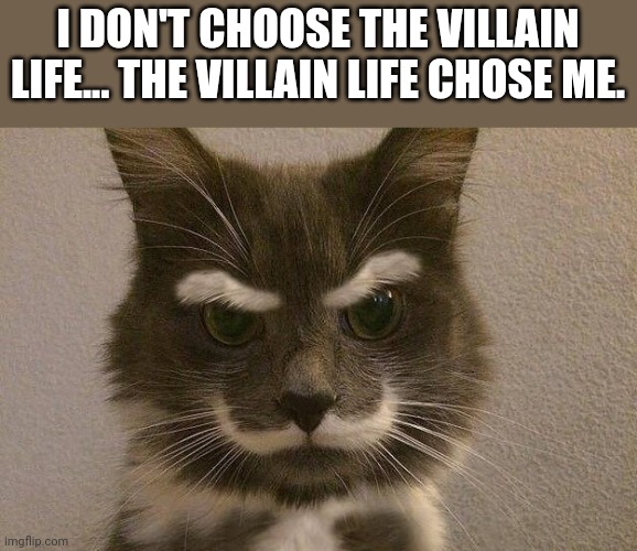 Old Train villain mustache cat | I DON'T CHOOSE THE VILLAIN LIFE... THE VILLAIN LIFE CHOSE ME. | image tagged in villain cat,cute cat | made w/ Imgflip meme maker