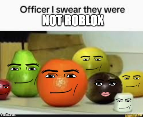 why annoying orange roblox | NOT ROBLOX | image tagged in they were talking to me,why,annoying orange,roblox,face | made w/ Imgflip meme maker